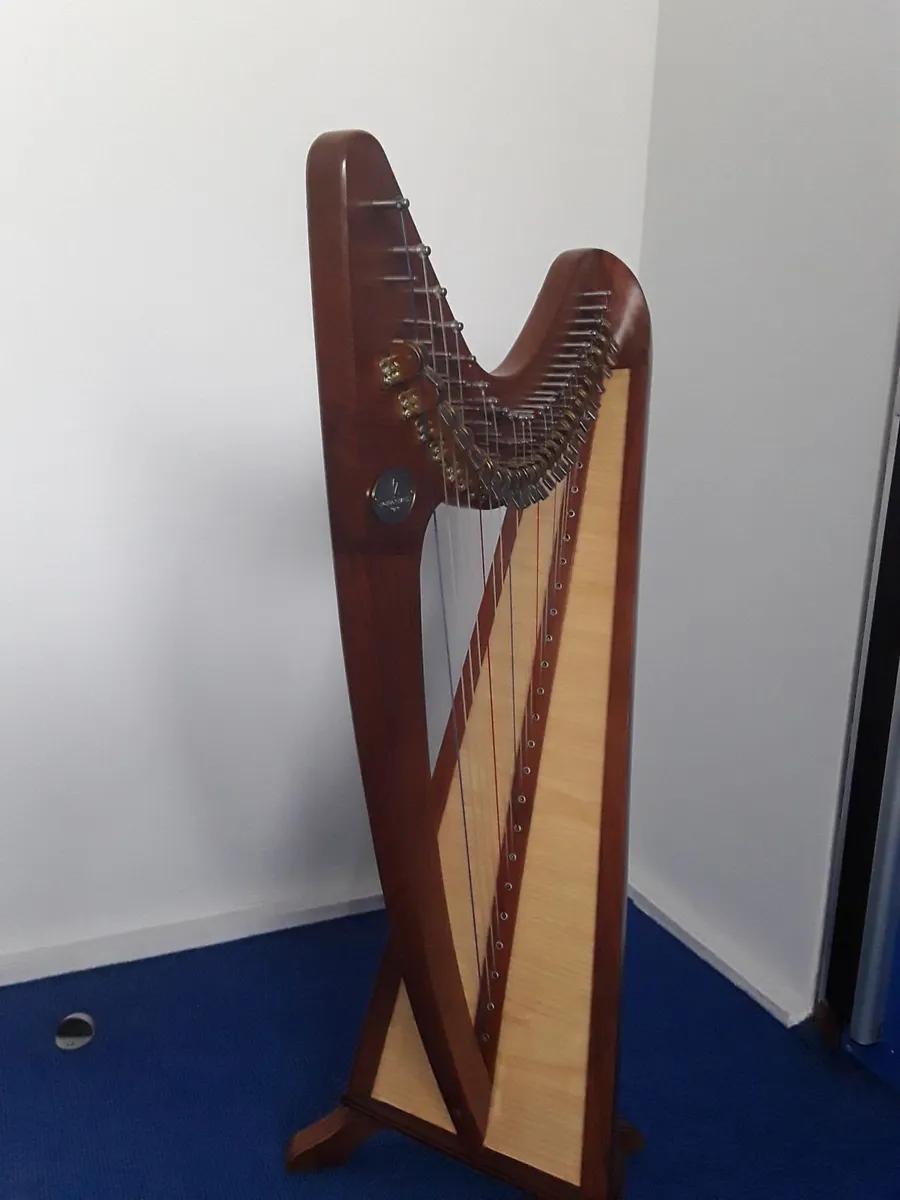 24 String McHugh Harp - Image 4