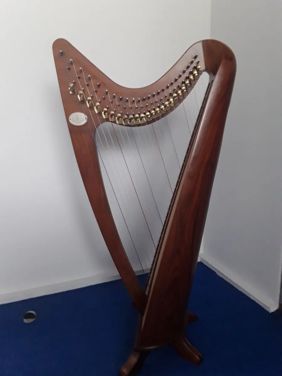 24 String McHugh Harp - Image 1