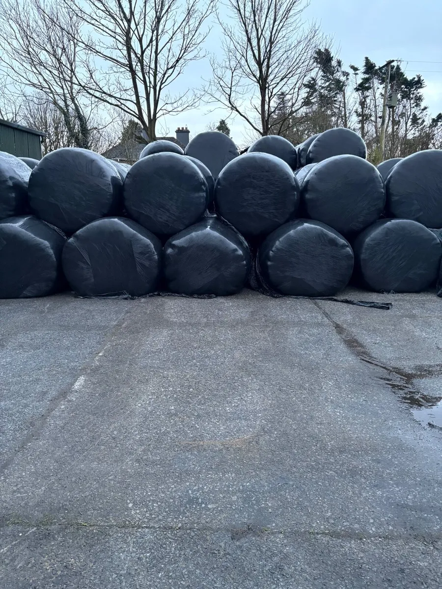 30 Round Bails Of First Cut Silage - Image 1