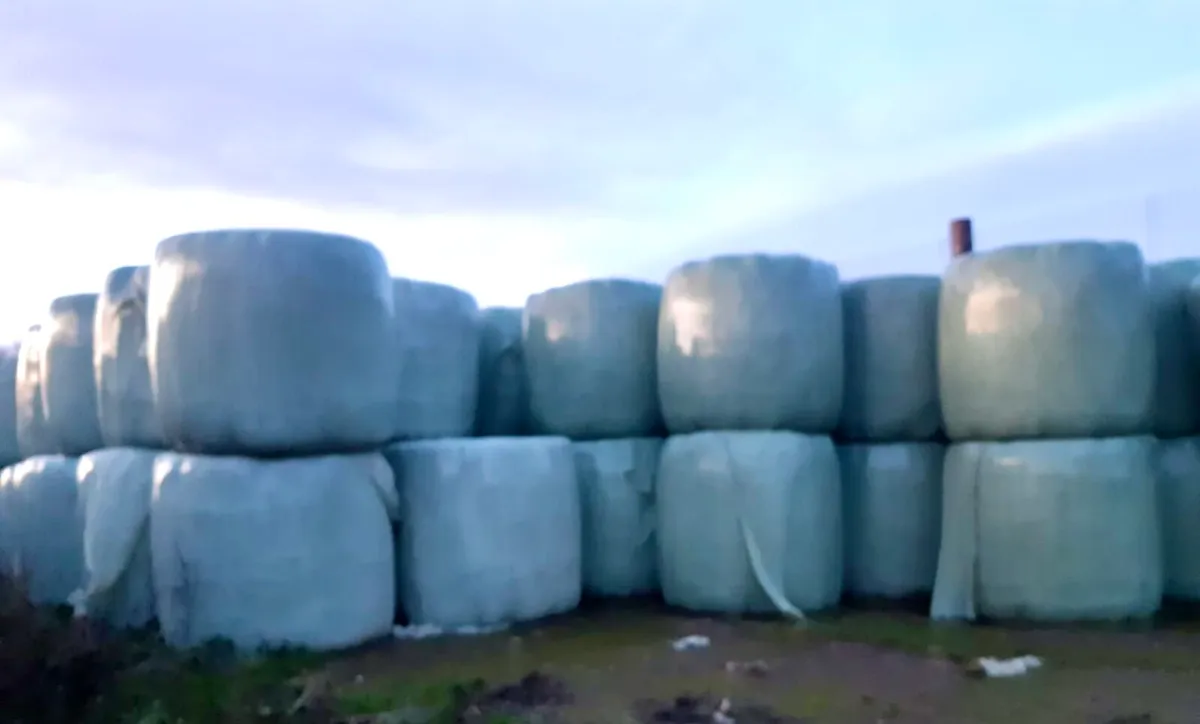 Top Quality Haylage for sale