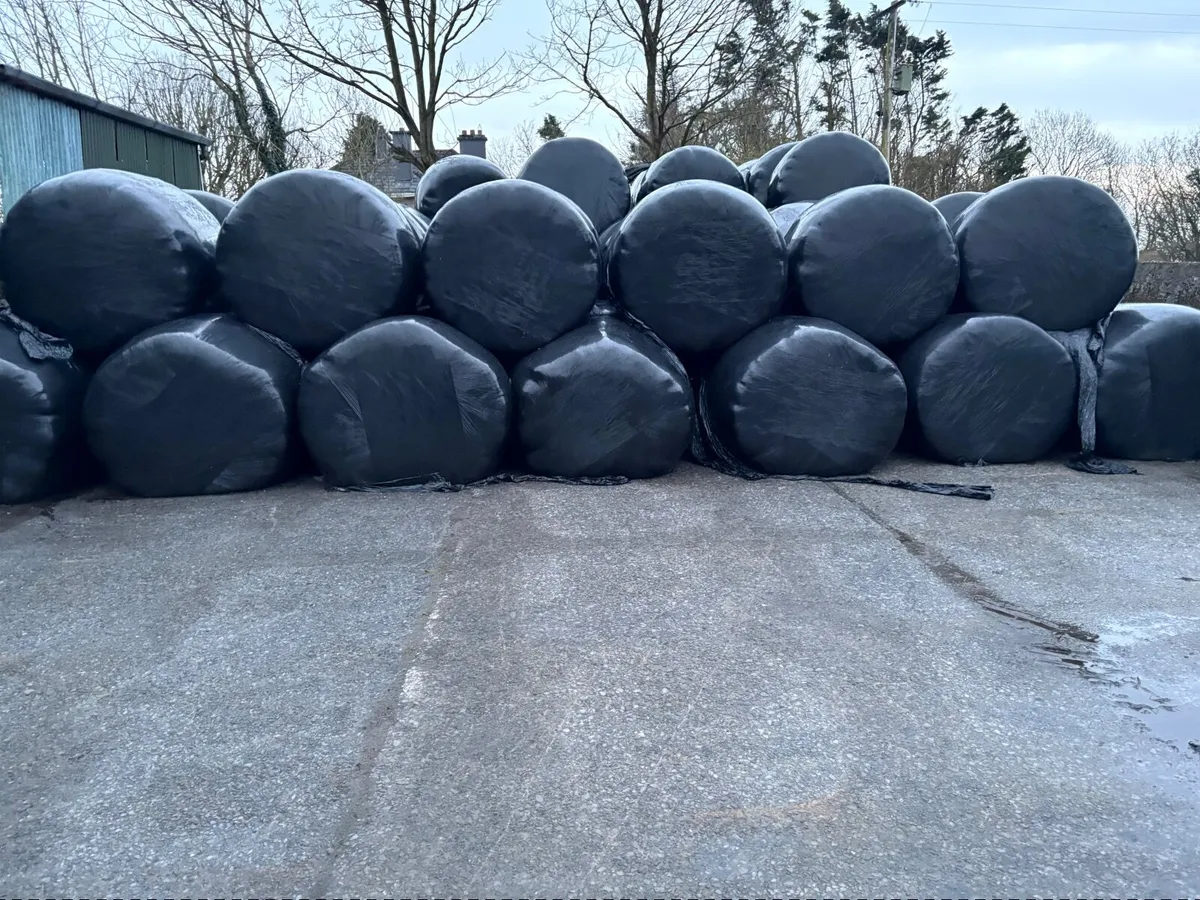 30 Round Bails Of First Cut Silage - Image 2