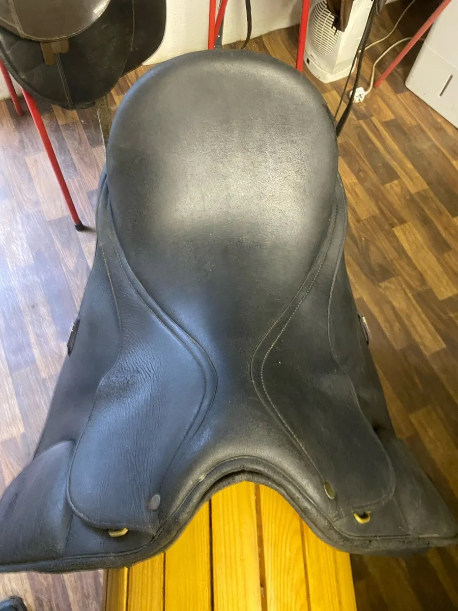 Wintec Isabelle werth dressage saddle - Image 3