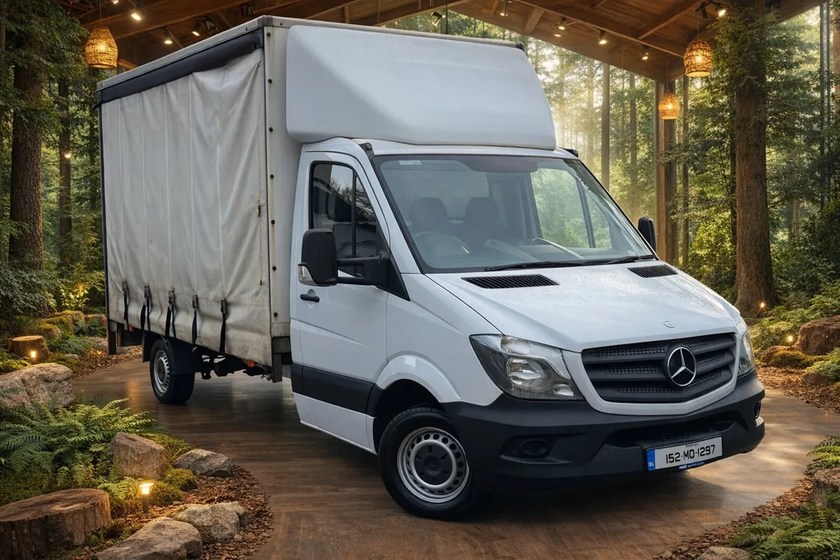 151 MERCEDES SPRINTER - CURTAIN  SIDE & TAIL LIFT - Image 2