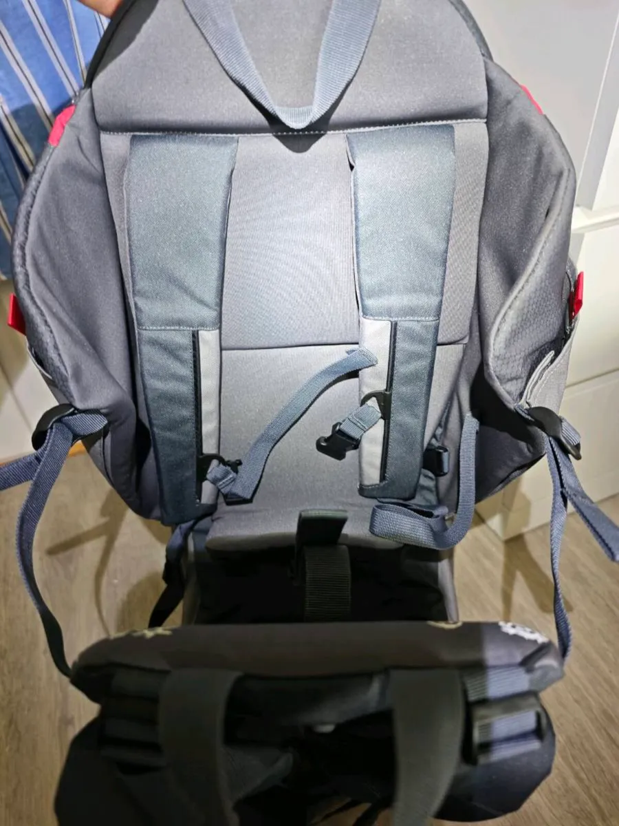Phil & Teds Baby Carrier - Image 3