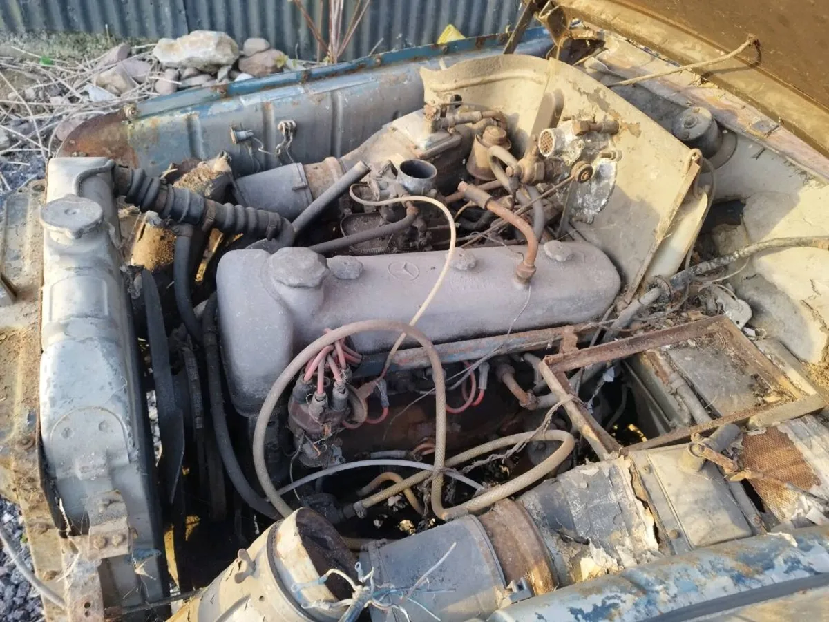 1956 Mercedes 220 Ponton - Image 3