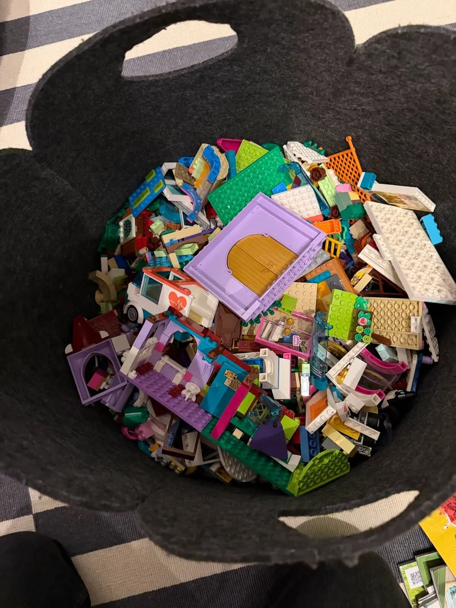 Lego - assorted pieces with books - Image 1