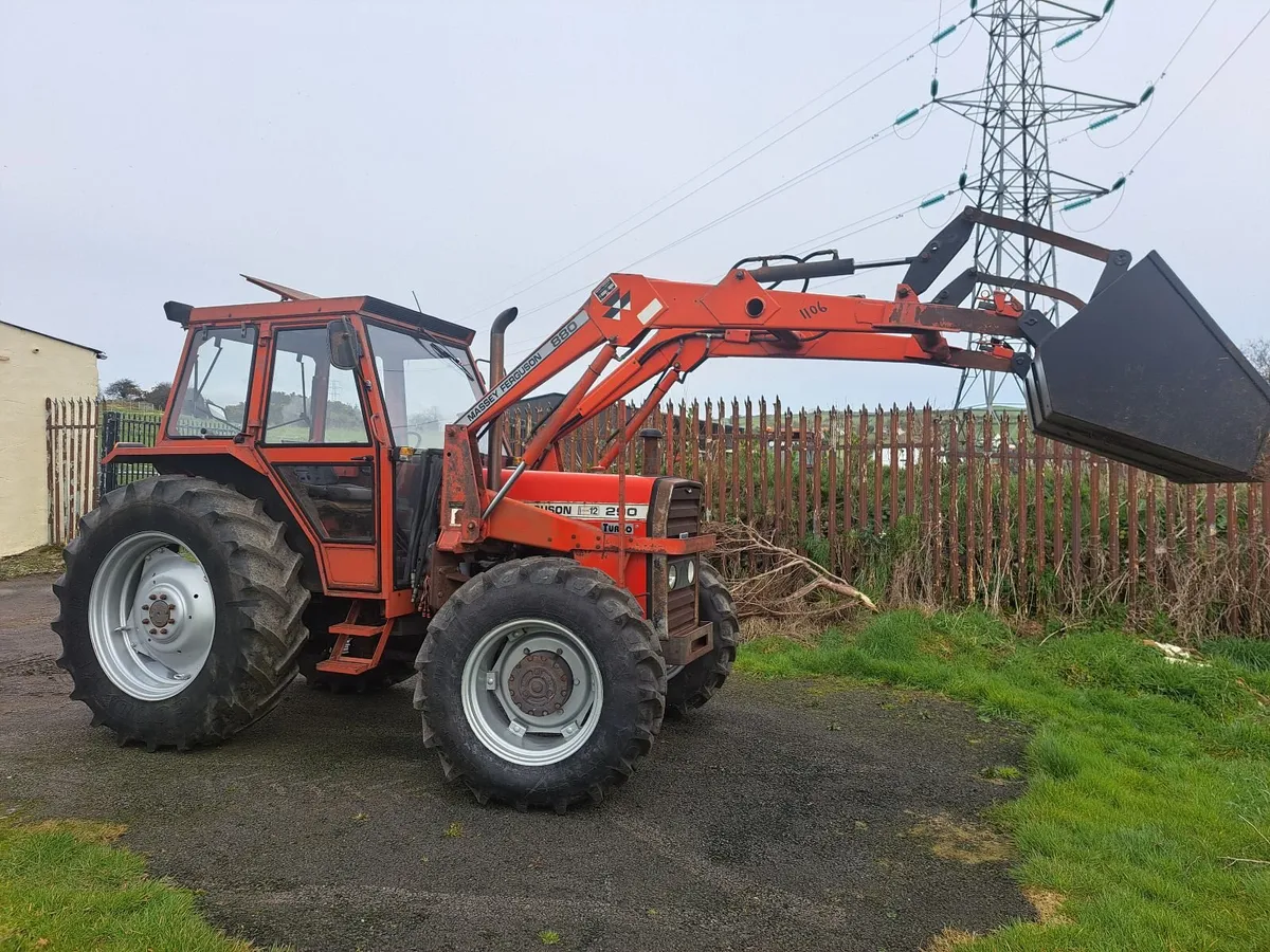 Massey Ferguson 290 turbo 1985 - Image 2
