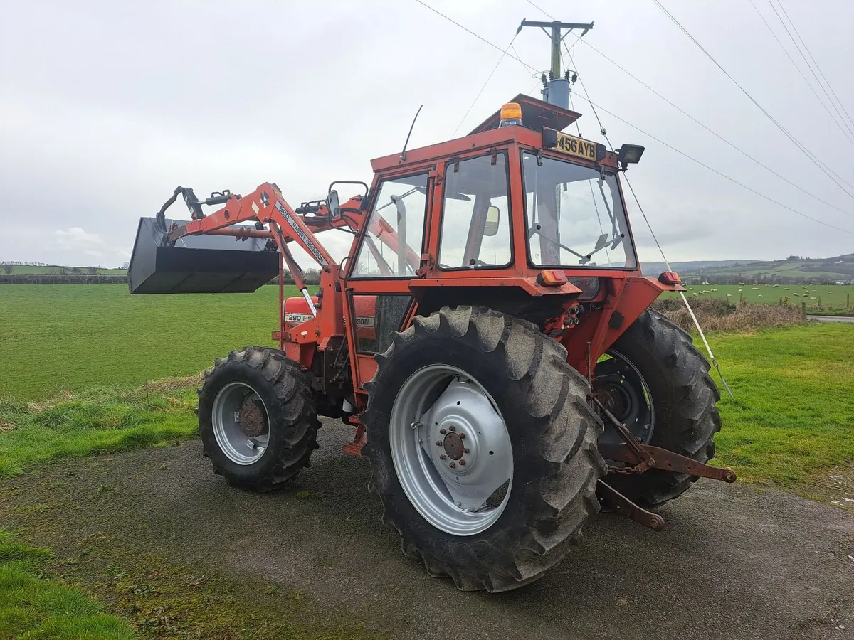 Massey Ferguson 290 turbo 1985 - Image 4