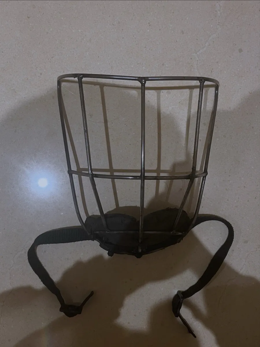 Oldstyle DJ Carey/ Eoin Cody guard - Image 2