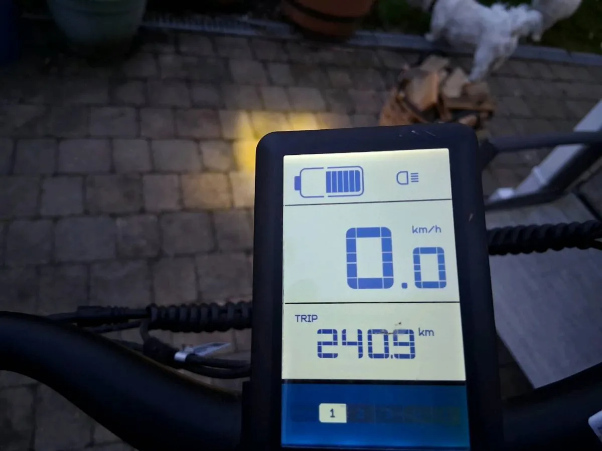 Electric Bike - Image 3