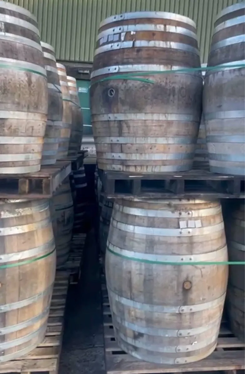 Whiskey barrels ice baths 600L puncheon + Butts - Image 2
