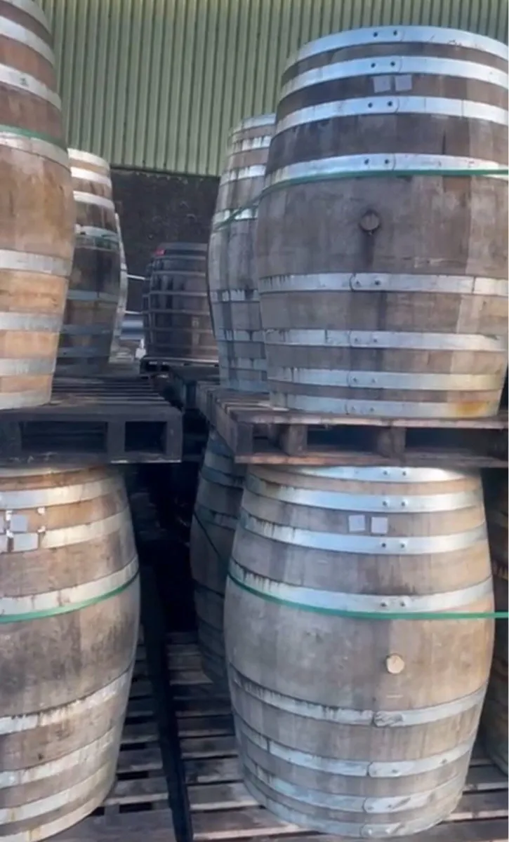 Whiskey barrels ice baths 600L puncheon + Butts - Image 1