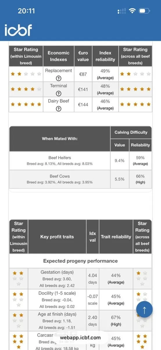 Pedigree Limousin Bull - Image 2