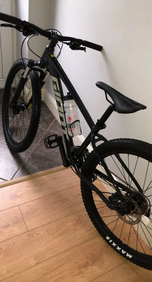 Giant talon mountain bike
