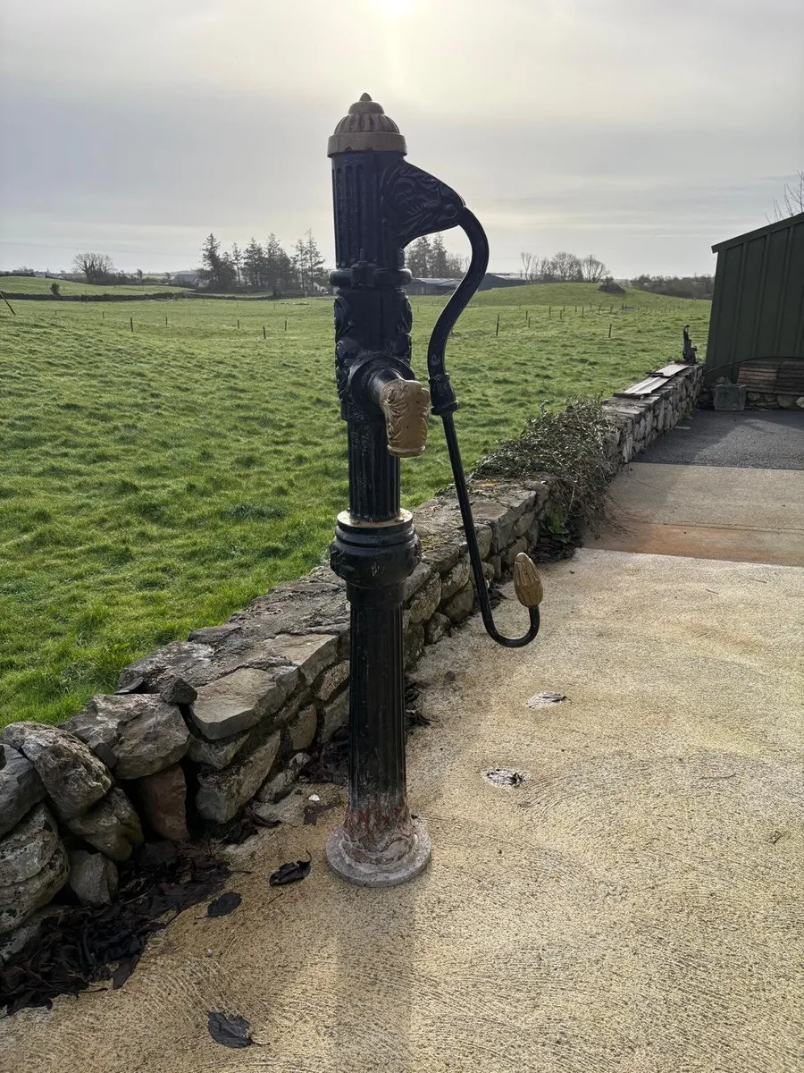 Antique Cast Iron Village Water Pump - Image 2