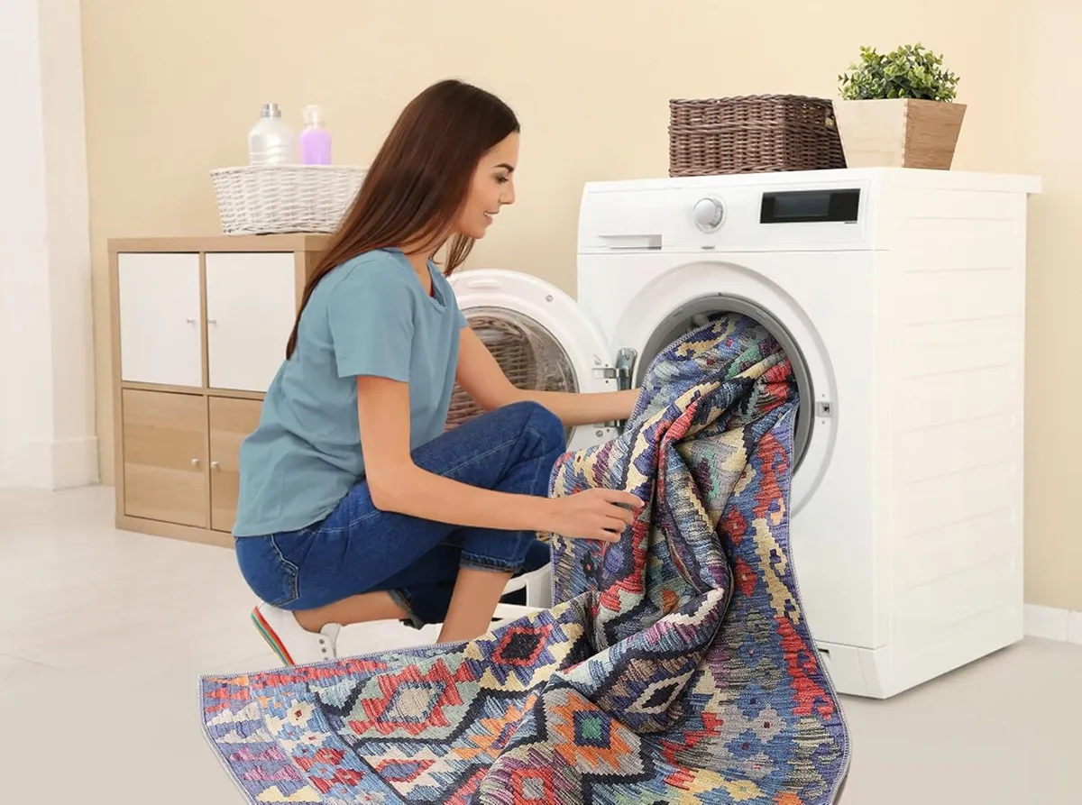 Washable Area Rugs for Living Room Traditional - Image 3