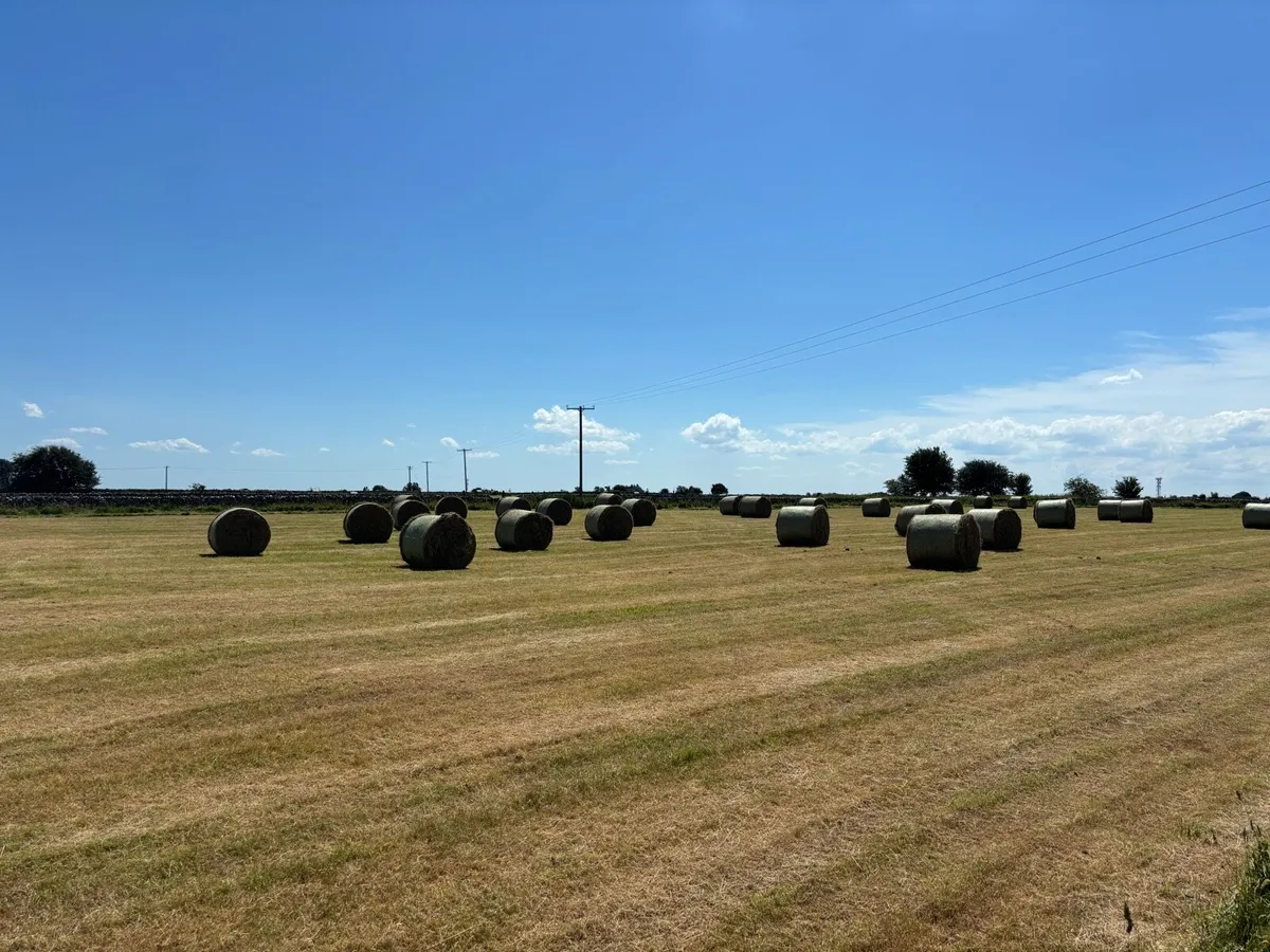 Hay - Image 1