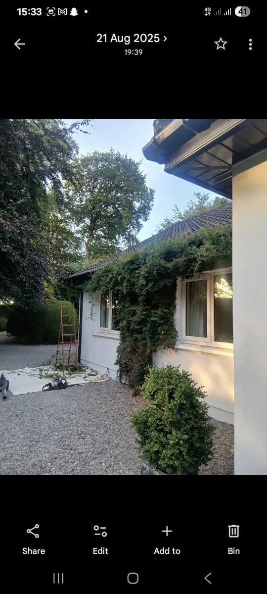 Gardening/garden maintenance/lawns /hedges - Image 4