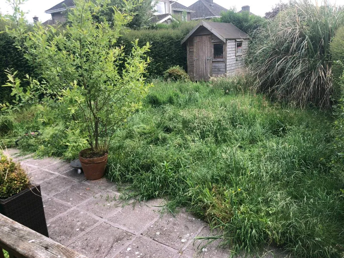 Gardening/garden maintenance/lawns /hedges - Image 2