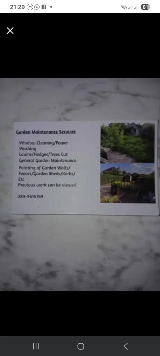 Gardening/garden maintenance/lawns /hedges - Image 1