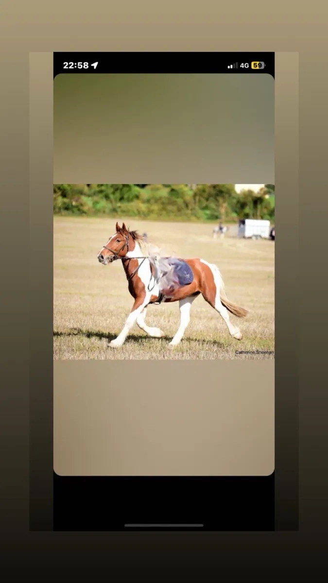 🥕HUGO🥕 - Image 1