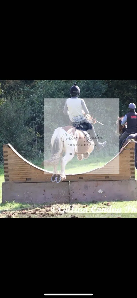 🥕HUGO🥕 - Image 3