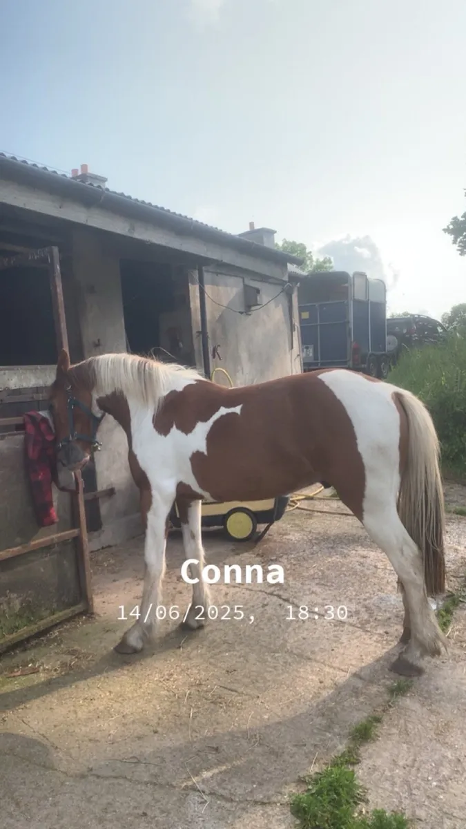 🥕HUGO🥕 - Image 4