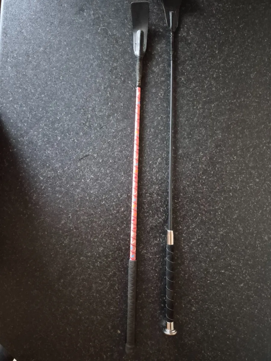 Horse Riding Gear - Image 3