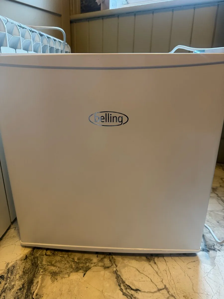 Fridge Freezer & Microwave - Image 1