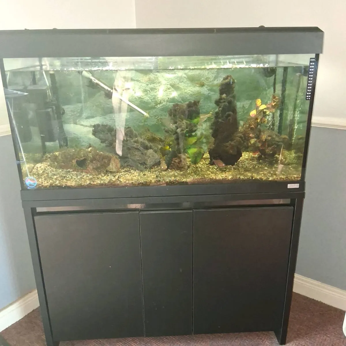 Fish Tanks - Image 2