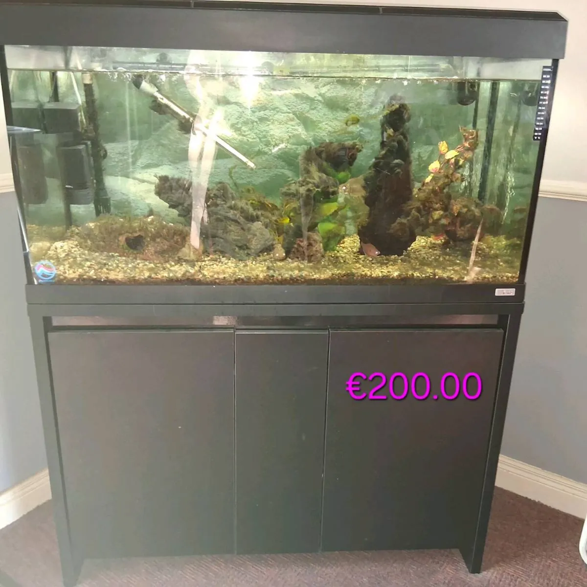 Fish Tanks - Image 1