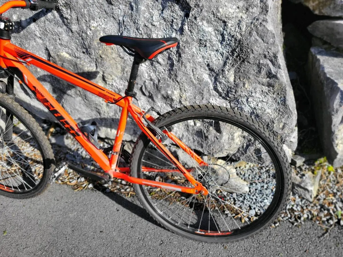 Mountain bicycle - Image 2