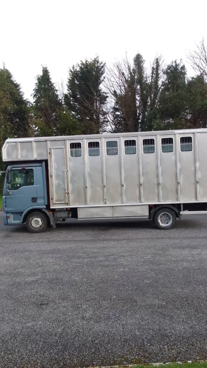 Horse truck - Image 3