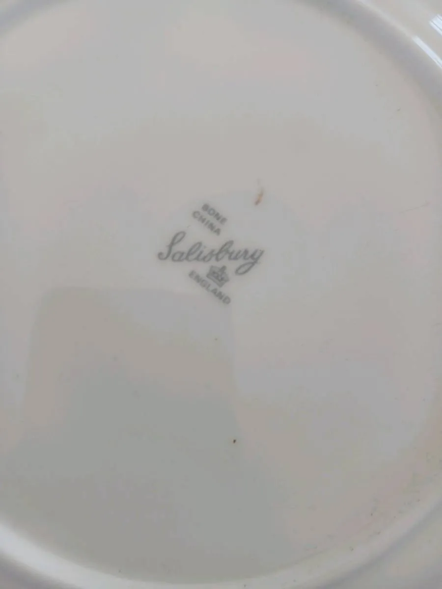 China serving plate Salisbury - Image 2