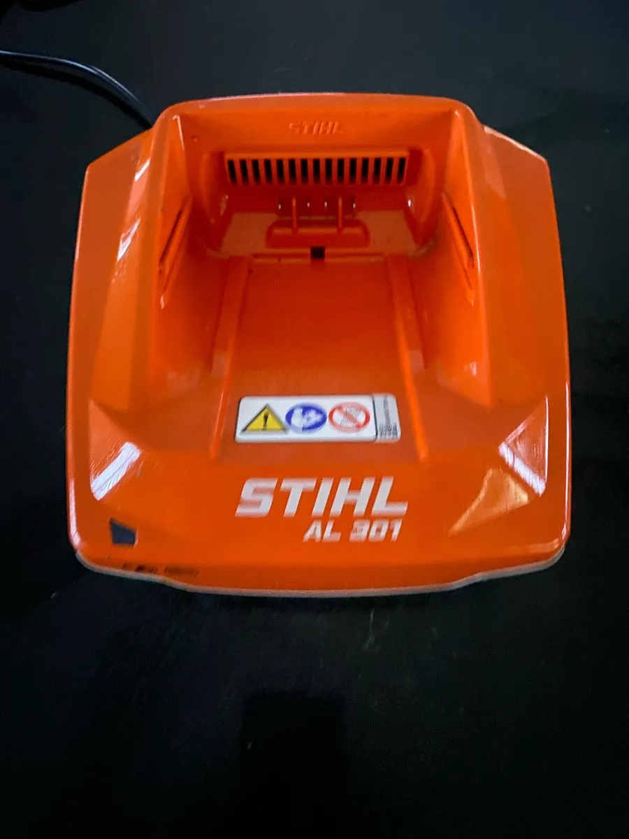 Stihl RLA 240 lawn scarifier battery and charger - Image 2