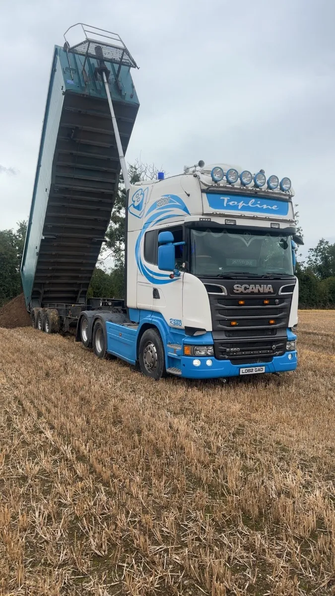 Top quality hen dung - Image 1