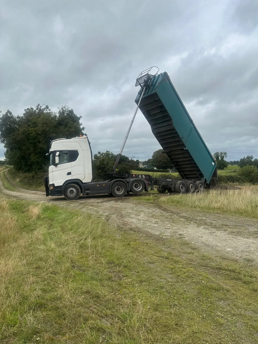 Top quality hen dung - Image 3