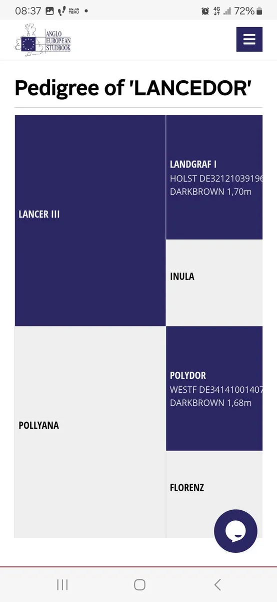 LANCEDOR AES 2 star stallion for stud - Image 3