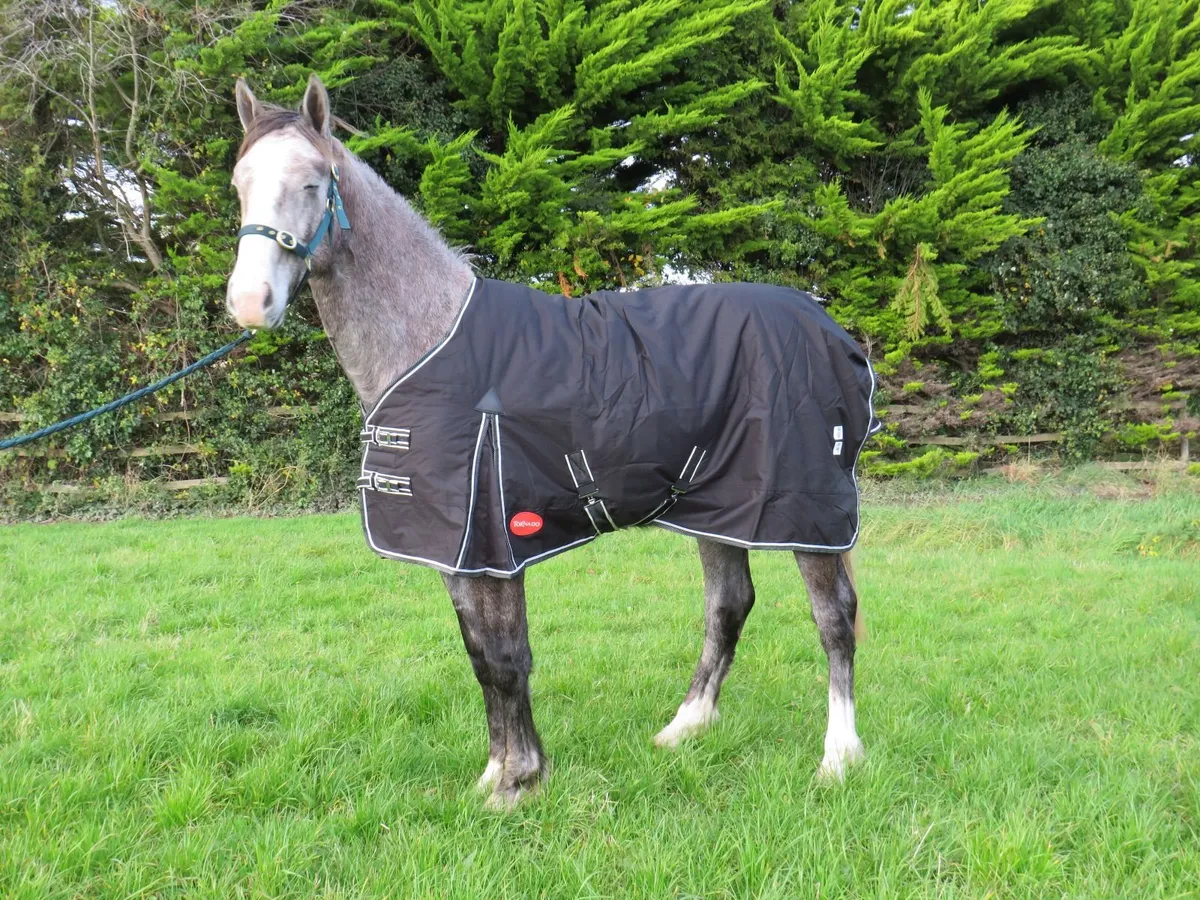 Horse Rugs - all sizes available - Image 2