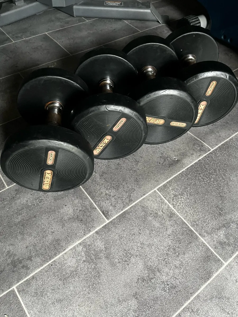 Alex rubber dumbbells 2x19kg / 2x12.5kg - Image 2