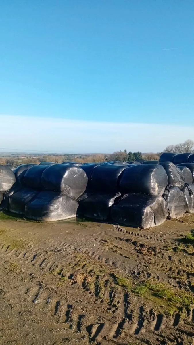 Silage bales