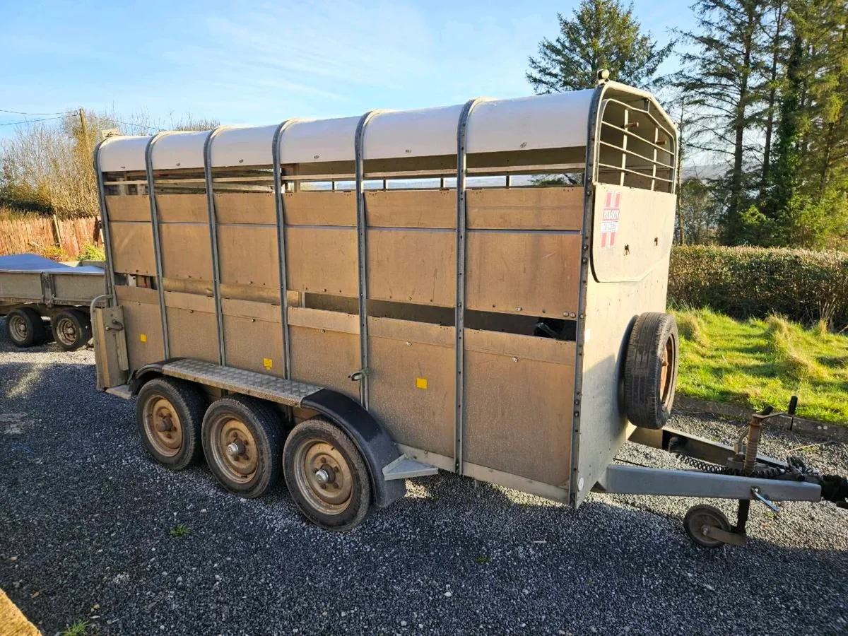 Hudson 12ft tri axle cattle trailer