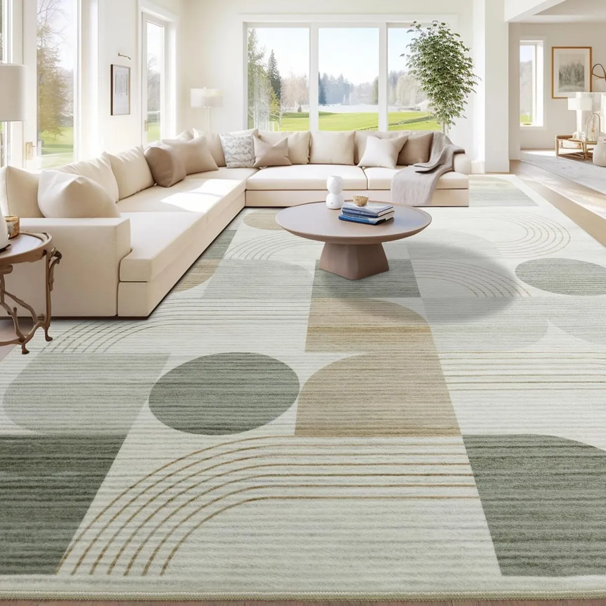 Luxury Large Area Rugs for Living Room Modern - Image 4