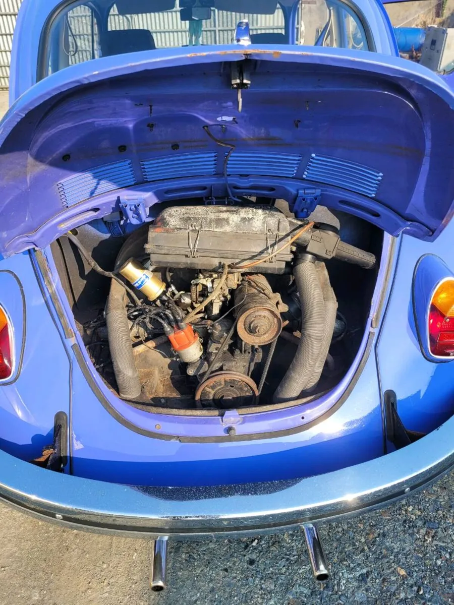 Vw beetle - Image 3