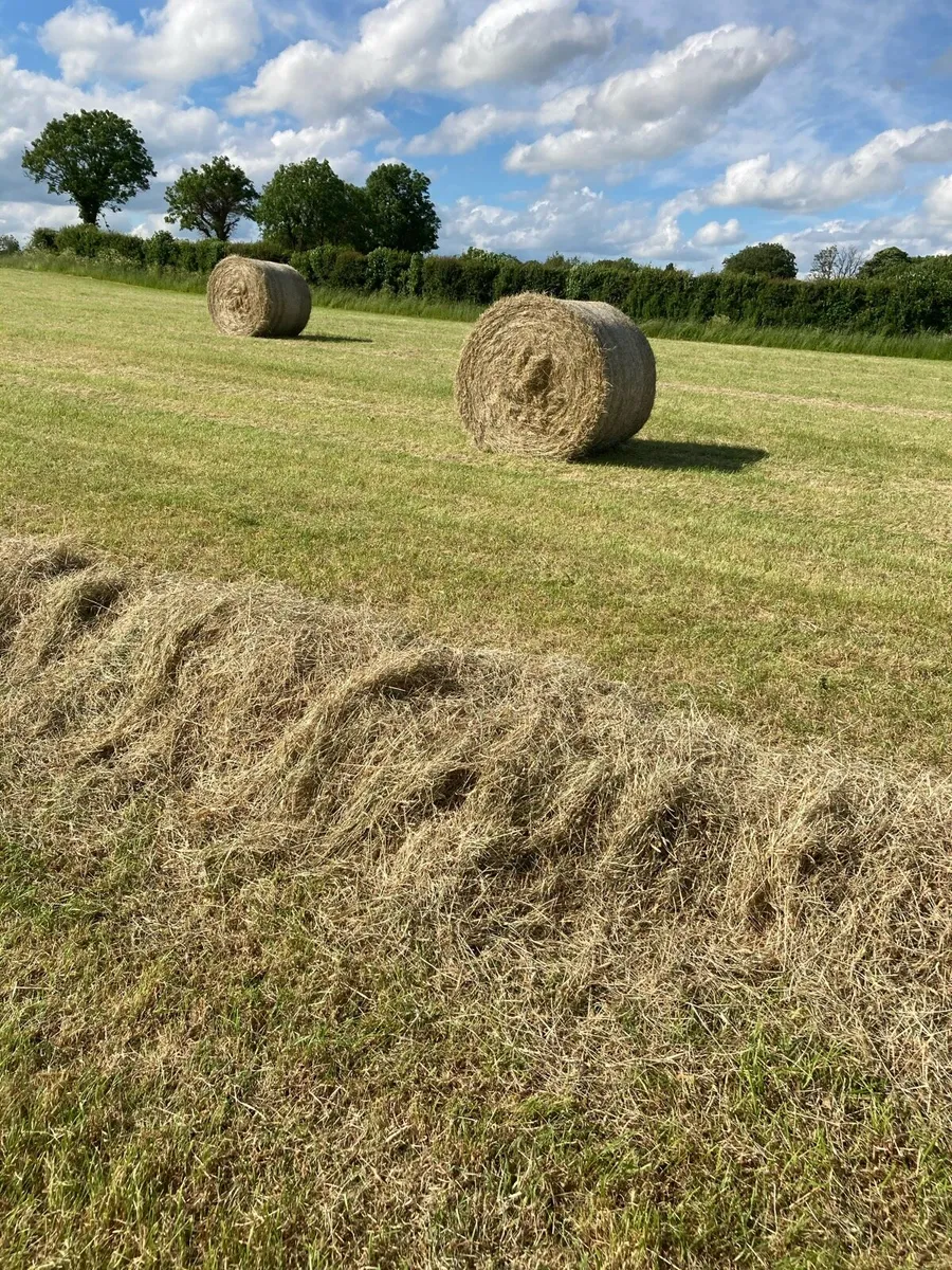 Quality hay and silage. - Image 1