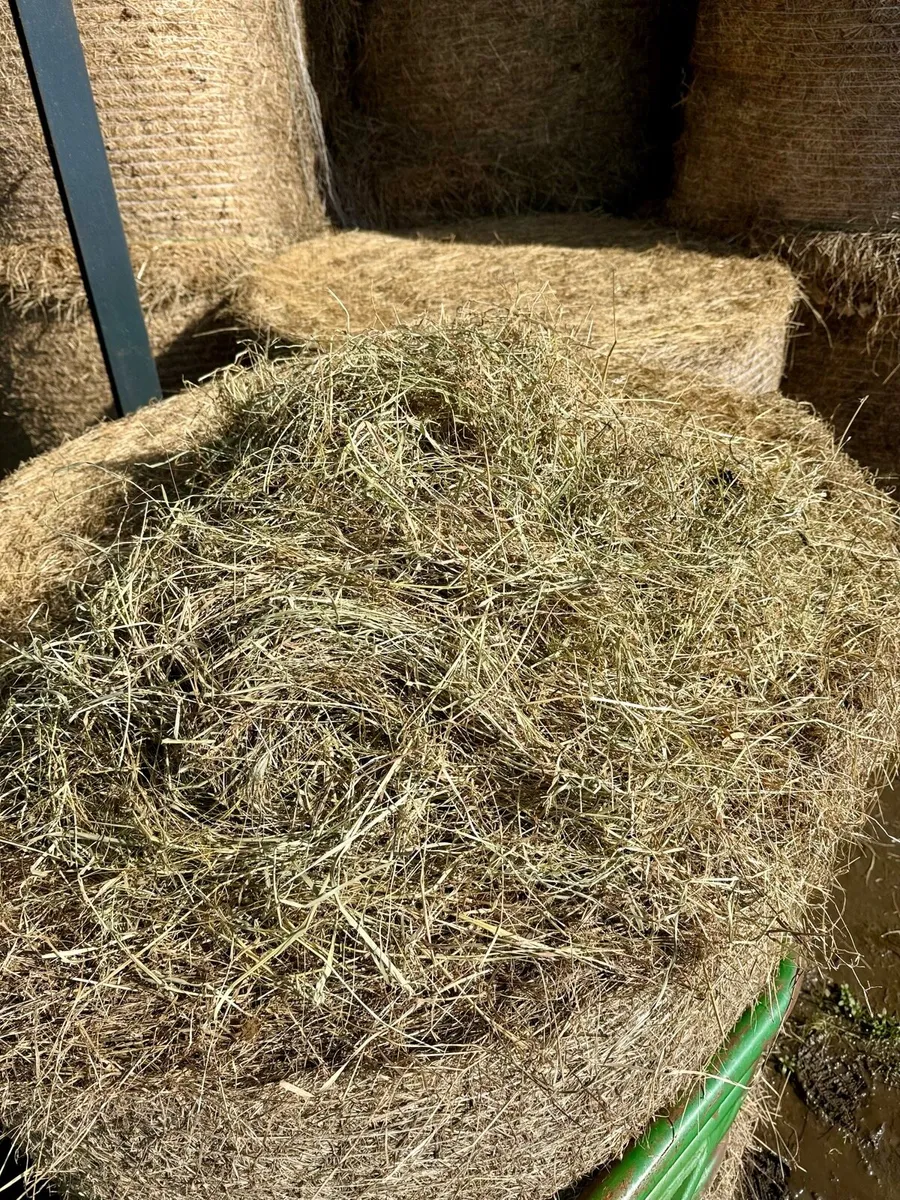 Quality hay and silage. - Image 2