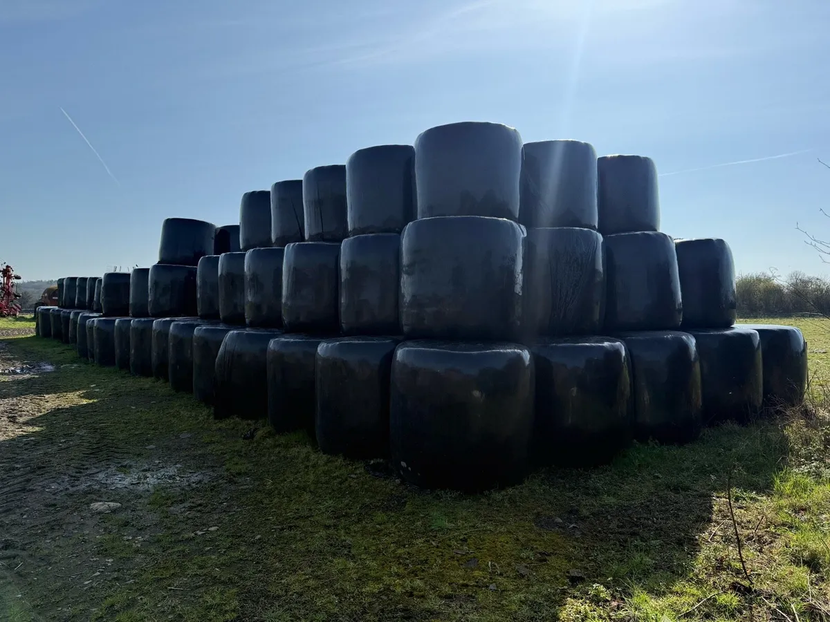Quality hay and silage. - Image 3