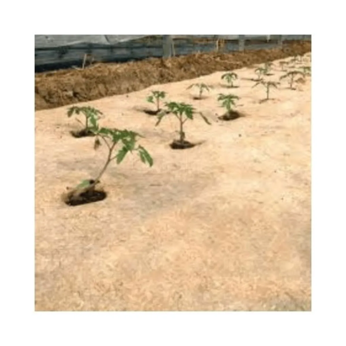 Organic Hemp Mulch Mat - Weed Barrier - Image 4
