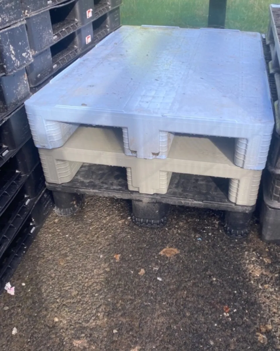 Strong plastic pallets - Image 1