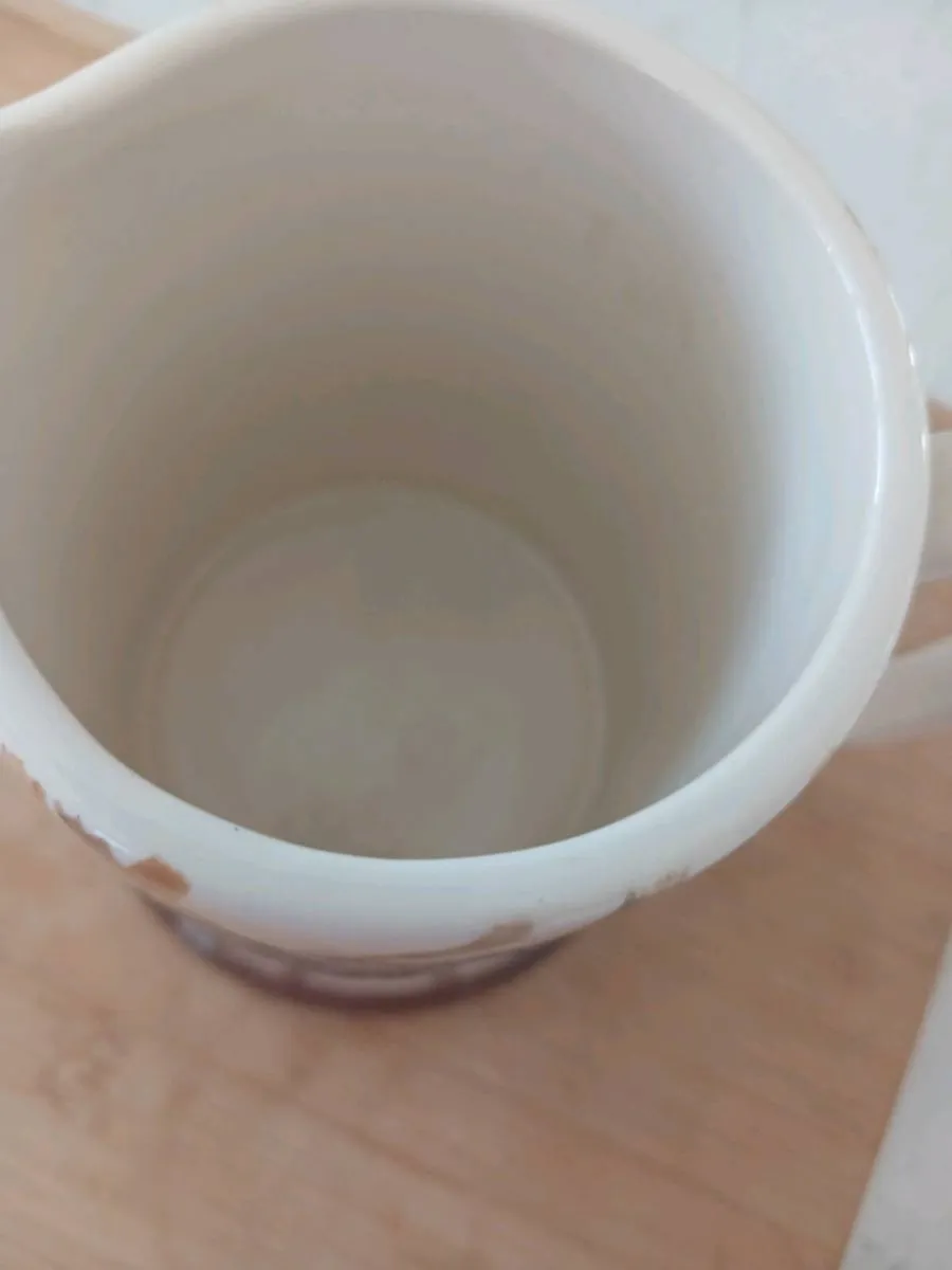 Ceramic jug National Trust piece - Image 3